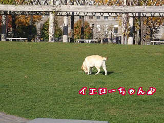 I'm Busy〜