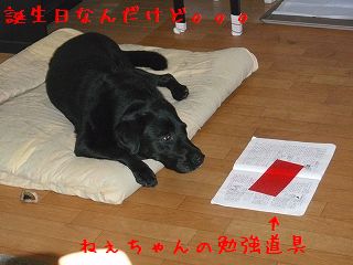 5歳になったのでちゅ♪