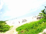 ビーチ