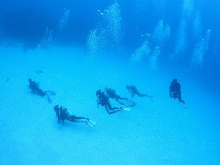 青い海とダイバー