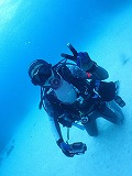 青い海とダイバー