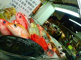 観光