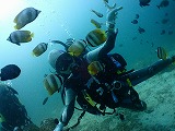 青い海とダイバー