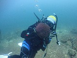 ウミウシ