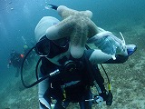 青い海とダイバー