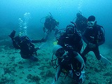 青い海とダイバー