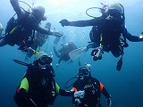 青い海とダイバー