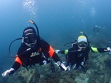 青い海とダイバー
