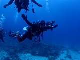 青い海とダイバー