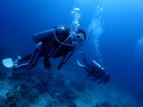 青い海とダイバー