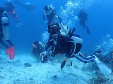 青い海とダイバー