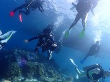 青い海とダイバー