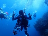 青い海とダイバー