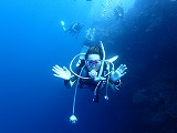 青い海とダイバー