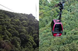 山へ向かうゴンドラ