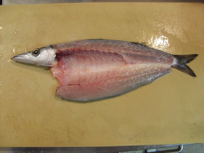 カマス