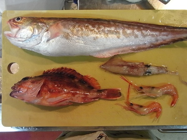アクアパッツァよう魚