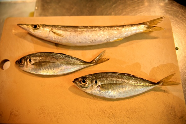 干物用魚