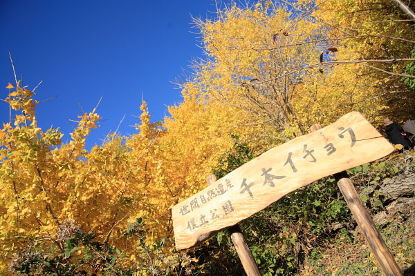 ボク立公園