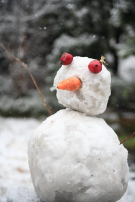 雪だるま2010