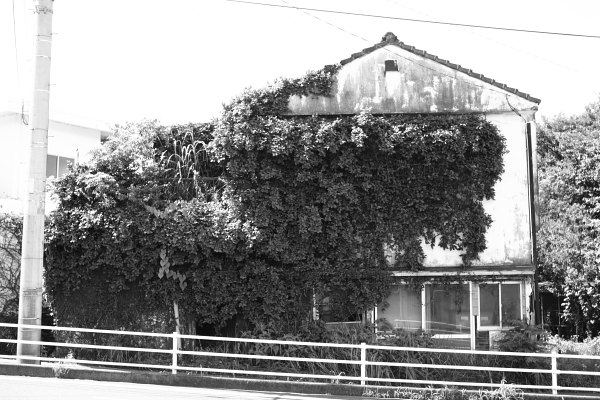 坂の途中