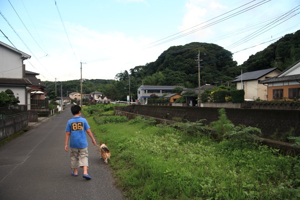 ジオの散歩