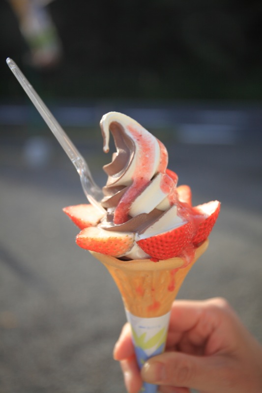 la fraise