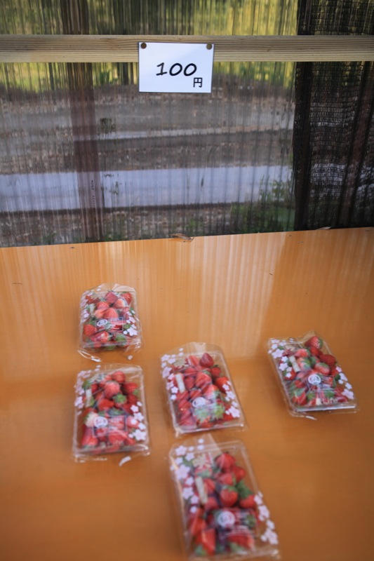 la fraise