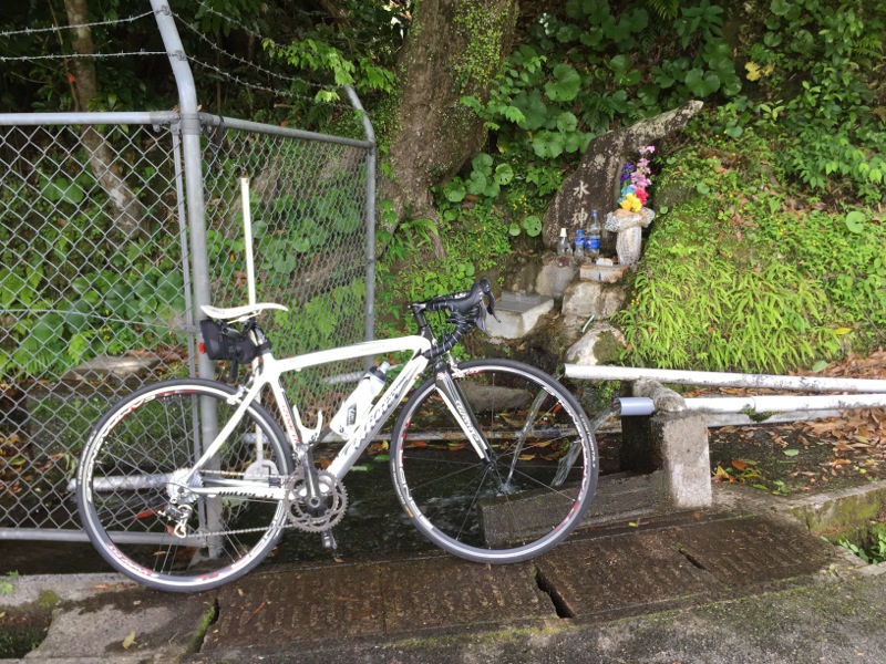 田代ヒルクライム