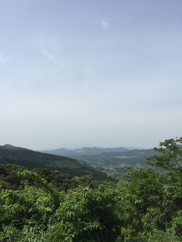 クラシックぶどう濱田農園
