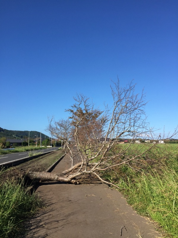 台風18号