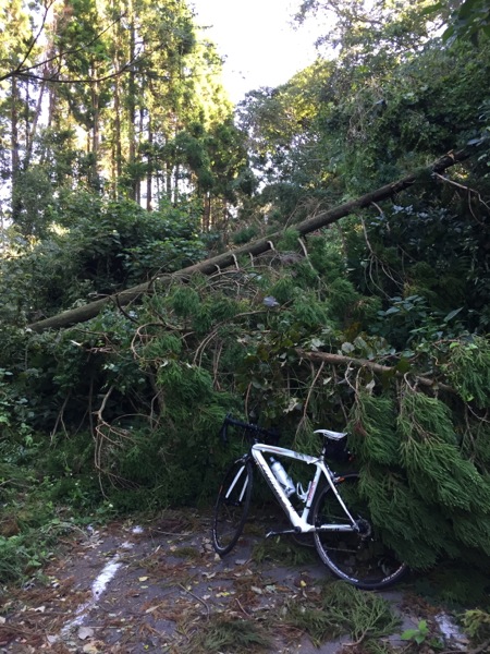 台風18号