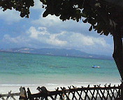 20061002_182452.jpg