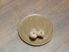 習作シュウマイ