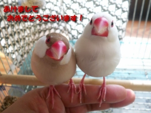 おめでとうございます!