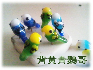 セキセイインコ♪