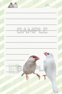 文鳥メモ帳