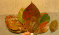 101103_1445~01.jpg