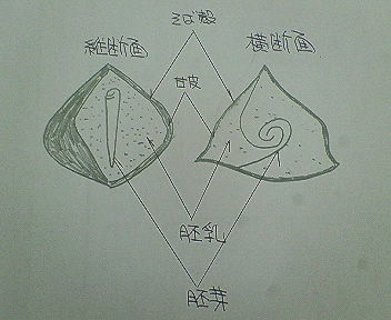 201106030938000.jpg