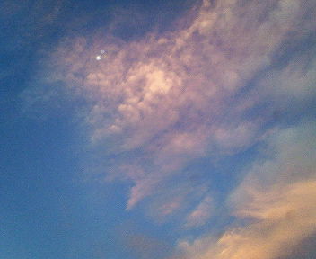 201109180519000.jpg