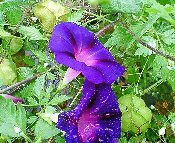 201109201024000.jpg