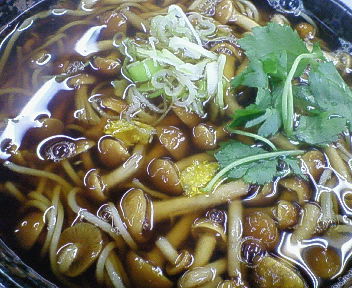 201109261347000.jpg