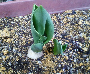 201203121423000.jpg