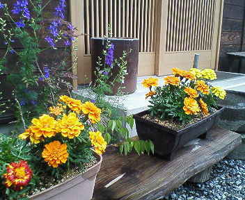 201206111549000.jpg