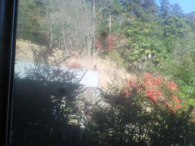 201312021204000.jpg