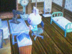 070526_0250~01.jpg