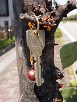 街路樹にかかったカギ