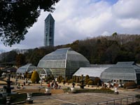 東山植物園の温室前館