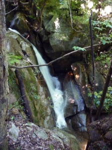 臥竜の滝