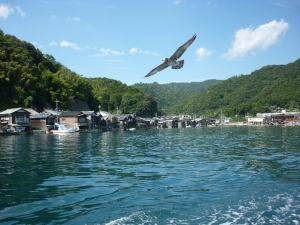 伊根3